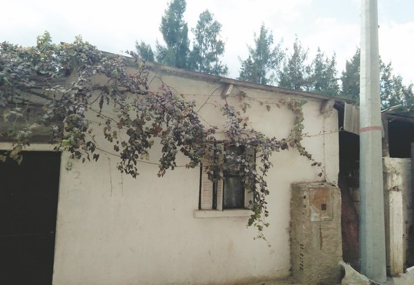 Haï Ennakhil (Birtouta) : Un pylône planté devant la fenêtre d’une habitation