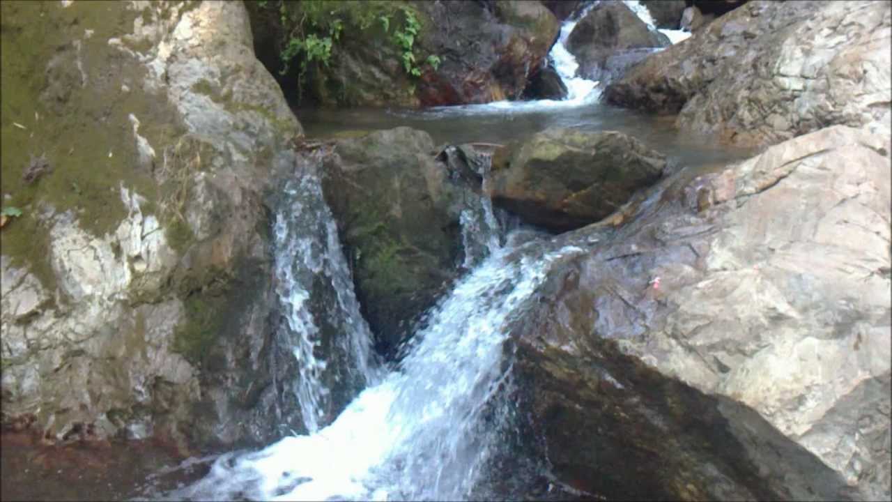 Gorges de la Chiffa (Médéa): installation d&rsquo;une commission de préservation du site naturel