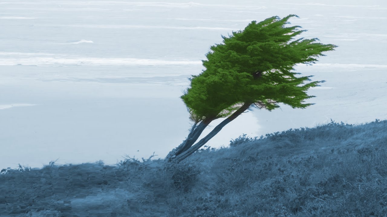 BMS: Vents violents à l&rsquo;Est du pays