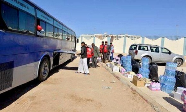 14 migrants clandestins arrêtés