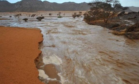 60 % des crues causées par le rejet des déchets et les constructions au bord des oueds