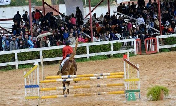 Equitation/Coupe d’Algérie: entame de l’édition 2018 à Oran