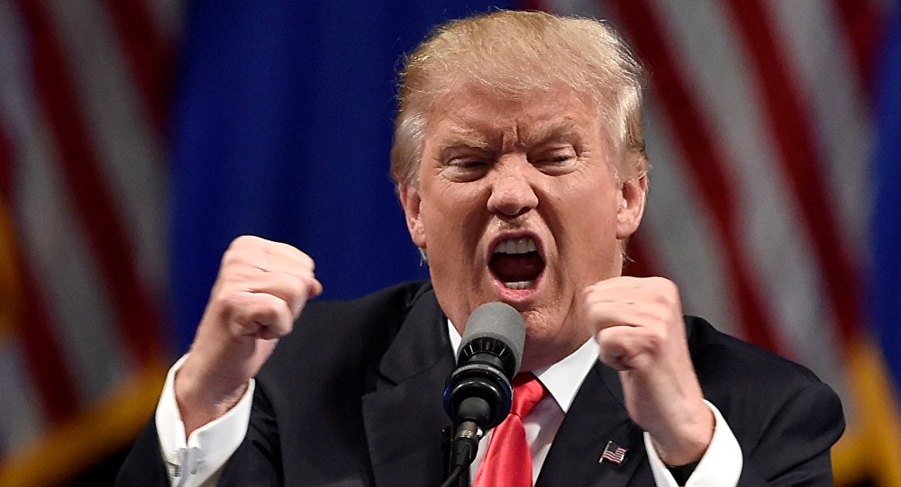 Donald Trump estime avoir «vaincu Daech» en Syrie