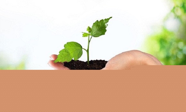 5,8 milliards de dinars pour réaliser des maisons de l&rsquo;environnement