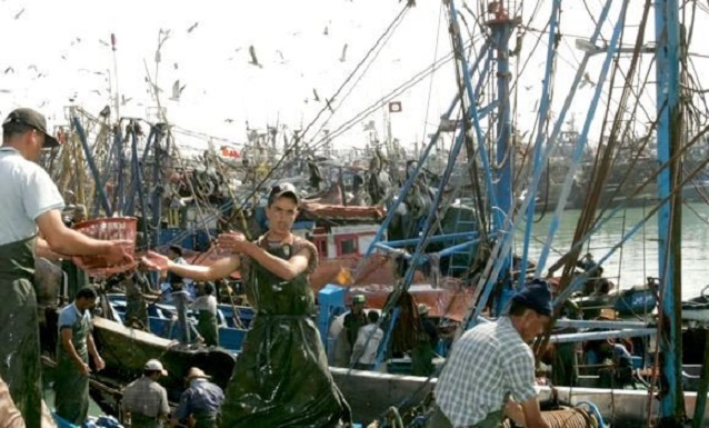 Accord de pêche UE-Maroc : la Suède s’oppose au décisions du Conseil de l’UE