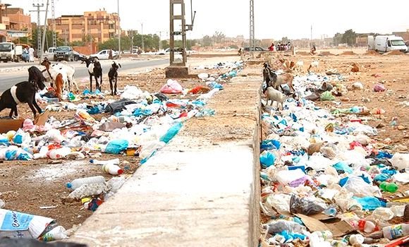 Plus de 32.000 infractions liées à l&rsquo;environnement enregistrées durant les dix premiers mois de 2018