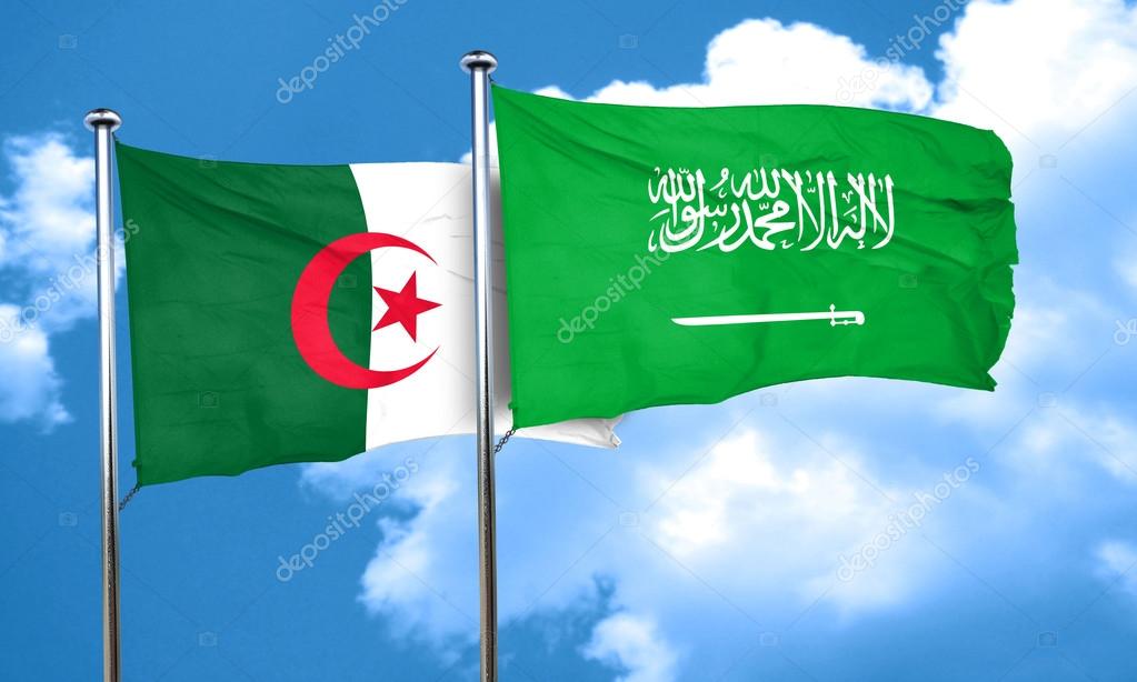 Industrie: Des majors saoudiens de la pétrochimie bientôt à Alger