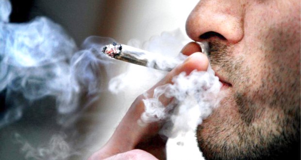 Lutte contre la drogue : Prise en charge psychosociale de près de 300 toxicomanes à Alger