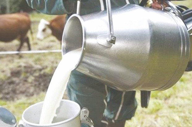 Programme de bourses américain «Cochran»: Les éleveurs de vaches laitières à l’épreuve