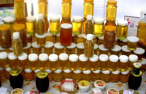 Guelma: Les produits de la ruche à l’honneur