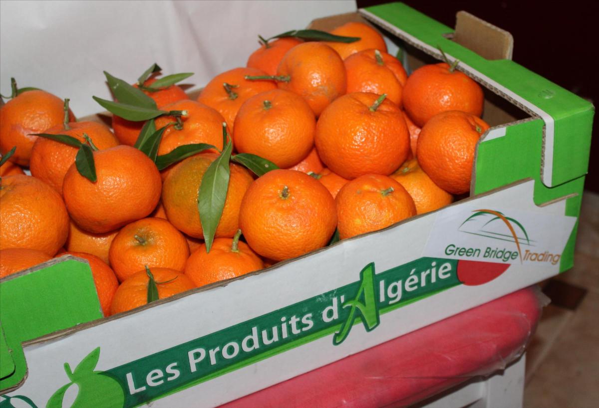 L’Espagne, la Russie, la Thaïlande et le Vietnam découvrent la saveur du produit agricole algérien: 409 tonnes de fruits exportées en 2018