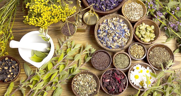 Plantes aromatiques et médicinales : Des perspectives prometteuses à Ghardaïa