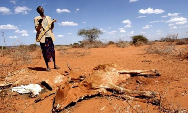 COP24 : l’Afrique plaide pour une feuille de route « claire » en faveur du continent