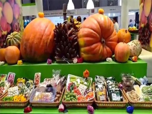 Durant les 9 premiers mois de 2018 : Les exportations agricoles algériennes ont dépassé les 57 millions de dollars