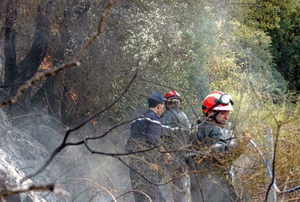 LA LUTTE CONTRE LES FEUX DE FORÊT MONTRE UNE BILAN SATISFAISANT