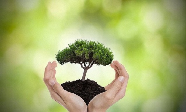 Les assises nationales sur l&rsquo;environnement et l&rsquo;économie circulaire le 25 décembre à Alger