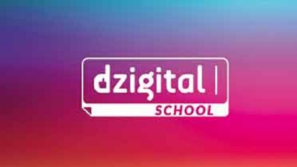 «DZigital School» prévoit de nouveaux projets de formation dès janvier 2019