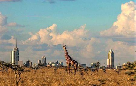 Kenya: la croissance économique s’est accélérée au 3ème trimestre 2018, à 6%