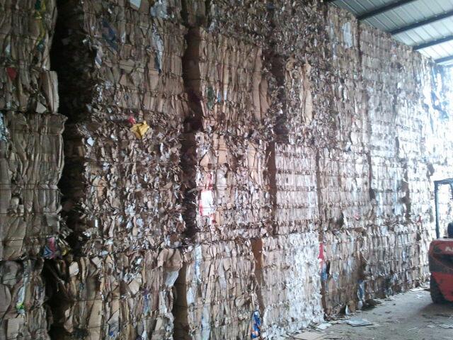 Tizi-Ouzou: exportation en mars de carton recyclé vers la France