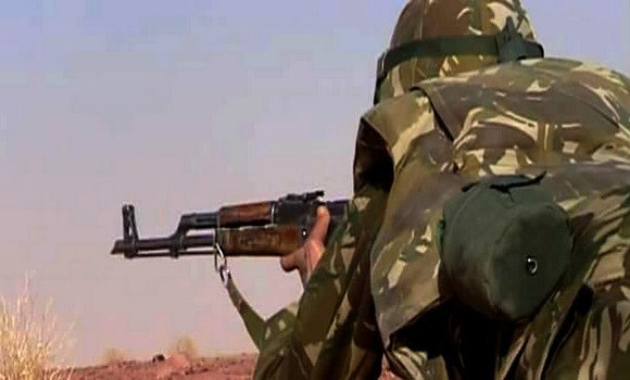 Contrebande-crime organisé: 12 personnes arrêtées dans le sud du pays (MDN)