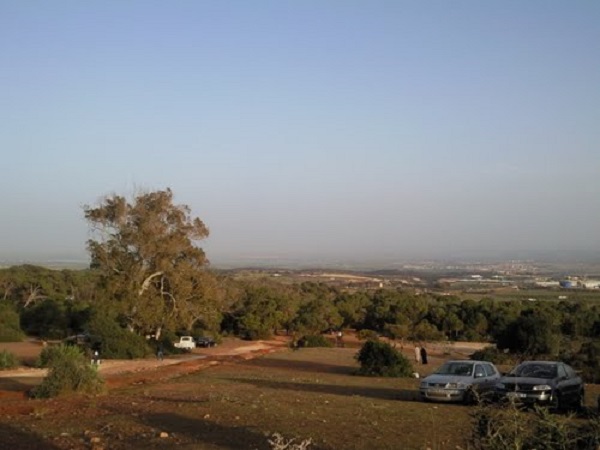 Incivisme, avancée du béton, détritus…: La forêt de la «Montagne des Lions» en danger