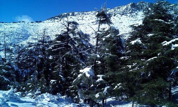 Célébration de Yennayer: plusieurs familles optent pour Tikjda