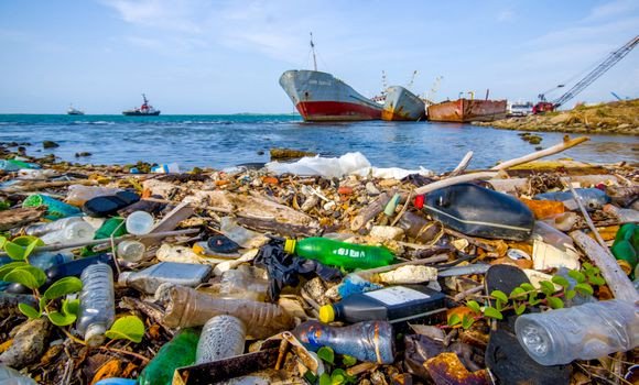 Le système alimentaire industriel mondial pourrait causer 5 millions de morts/an d’ici 2050