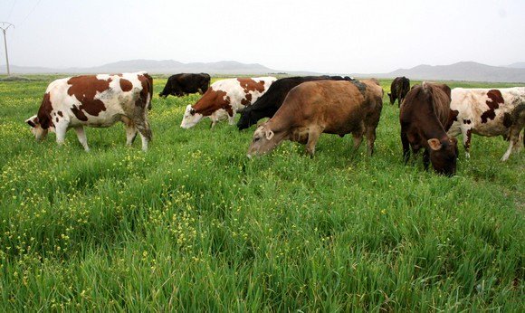 Agriculture: Une mission d’opérateurs économiques en Californie en janvier