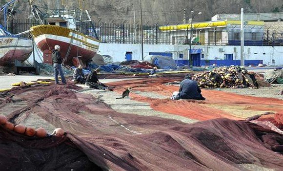 Skikda: plus de 200 pêcheurs soumis à une enquête nationale économique et sociale