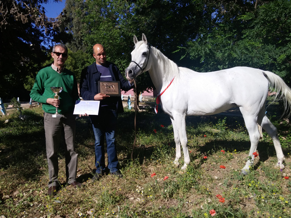 Les travailleurs de l&rsquo;ONDEEC dans l&rsquo;impasse