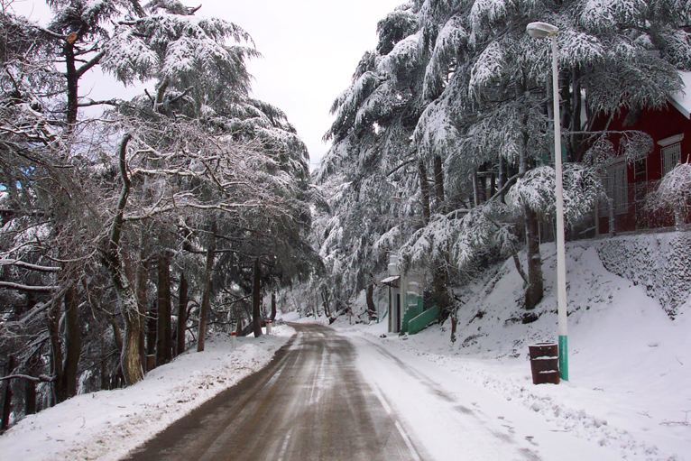 Blida: Chréa attire les passionnés des flocons blancs