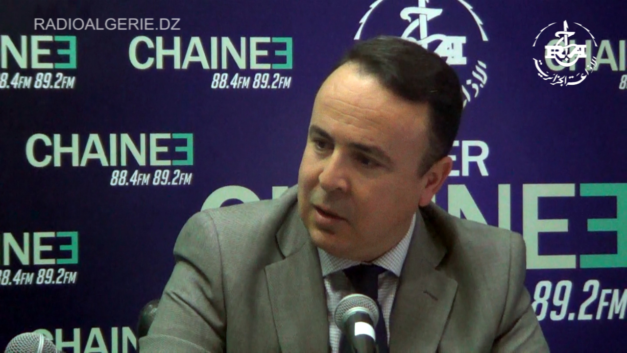 Energies renouvelables : le PDG de la SKTM affirme des capacités installées de 354 mégawatts en Algérie