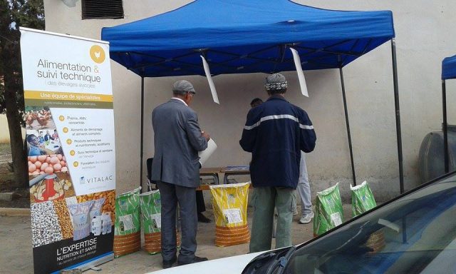 Tazmalt: Formations en agriculture au CFPA