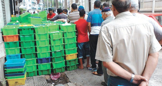 Bouira : Pourquoi le lait en sachet se fait rare