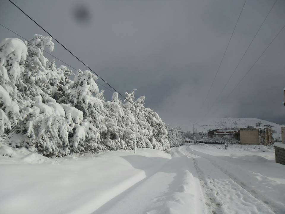 Guelma: La neige recouvre les hauteurs de la Mahouna