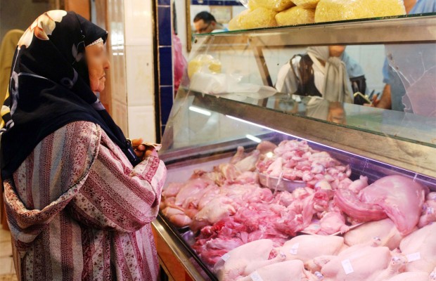 Apparition de maladies virales contagieuses chez les ovins et les bovins: Le poulet, la viande la plus «sûre»