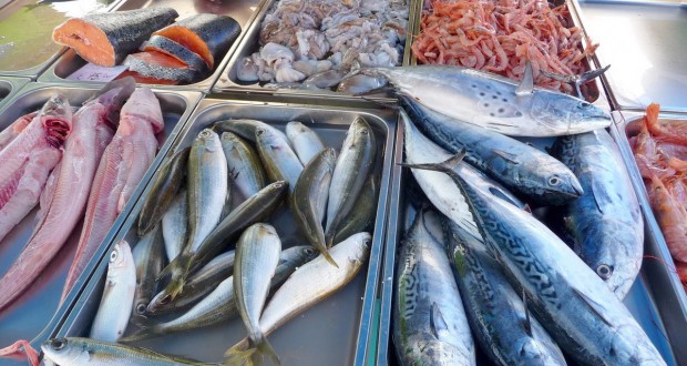 Ressources halieutiques : Production record en 2018 à Tlemcen