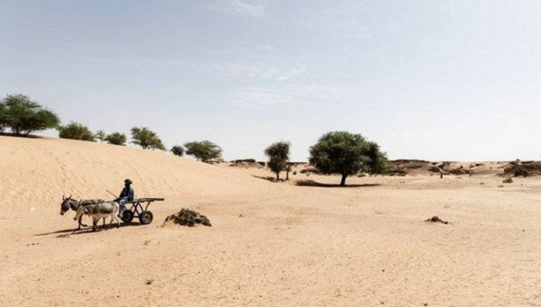 Sahel: le changement climatique exacerbe les conflits intercommunautaires (CICR)