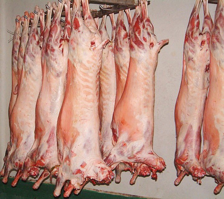 Alors que la peste animale fait rage: Des carcasses d’agneaux mises en vente à Tebesssa!
