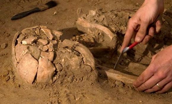 Sétif : la région d’Ain Boucherit cataloguée berceau de l’humanité