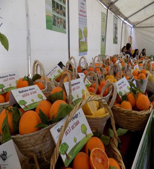 Amizour – Première édition de la Fête des agrumes: Une foire tout en orange