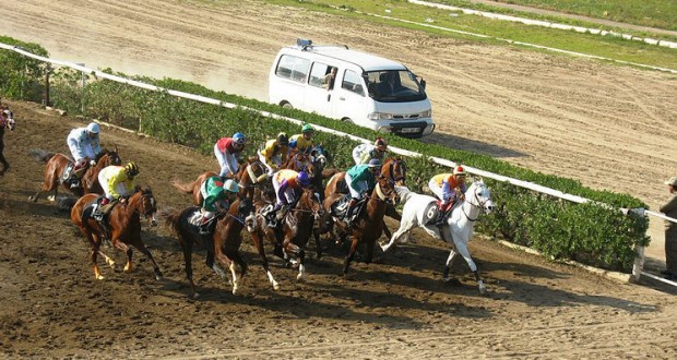 Société des courses hippiques et du pari mutuel : Bientôt la banqueroute totale