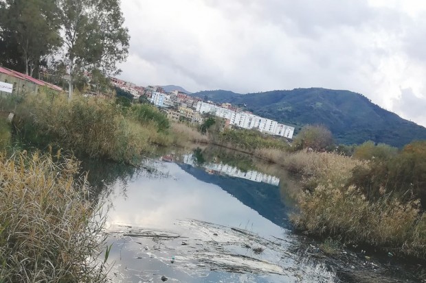 Collo: Désastre écologique à l’oued Cherka