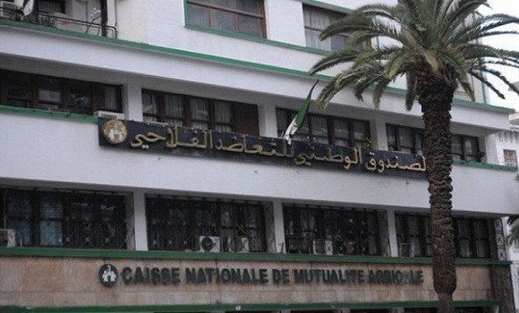 Assurances: la CNMA indemnise les sinistres de l’ONIL à plus de 1,4 milliards de DA