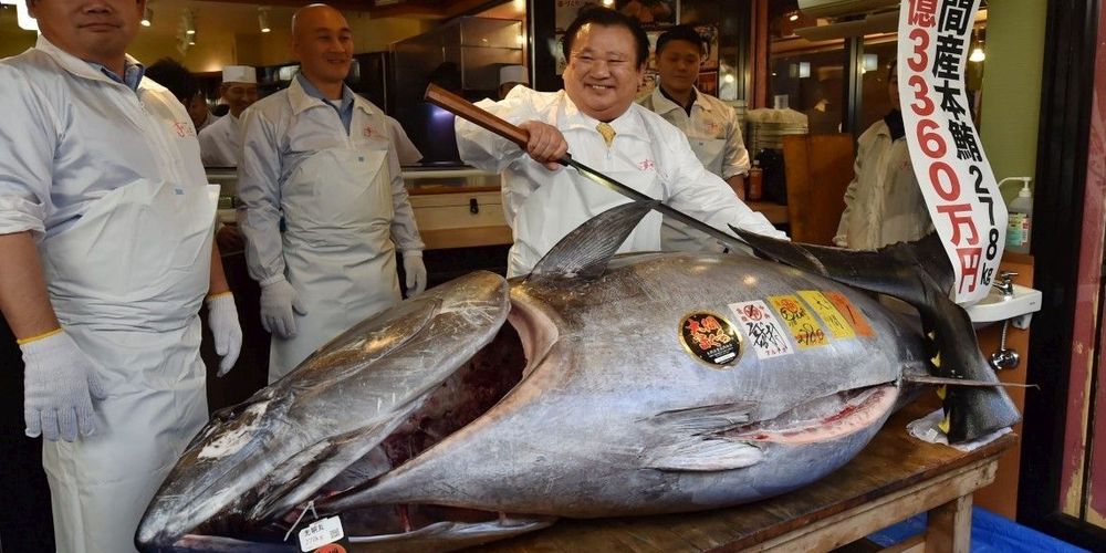 Surprenantes enchères au Japon : un thon de 278 kilos vendu 2,7 millions euros