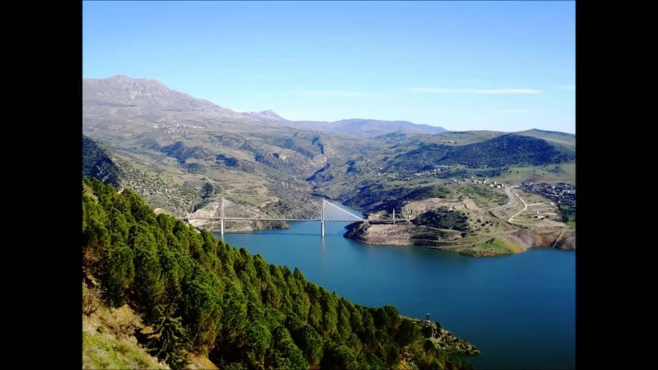 Mila: Opération sauvetage de la flore et de la faune