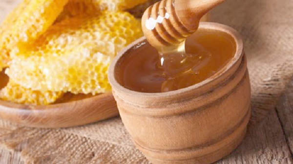 Foire apicole à Tizi Ouzou : La transhumance pour pallier à la baisse de la production locale de miel