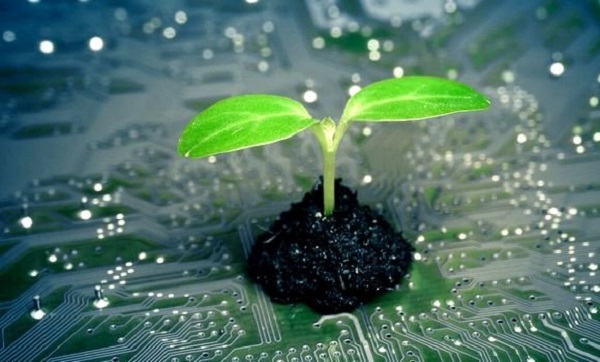 Université d&rsquo;Oran-1 : des solutions informatiques au profit de l&rsquo;agriculture