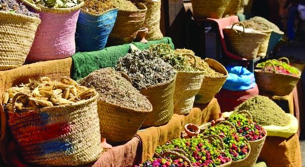 Recours des algériens aux plantes dans les soins: Entre vertus «bio» et pratiques charlatans