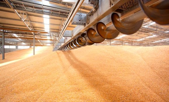 Oran : accroître les capacités de stockage des céréales à 550.000 quintaux